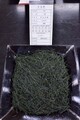 全国手もみ茶品評会2016　2等賞受賞茶2-16