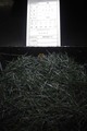 全国手もみ茶品評会2014 ３等賞受賞茶 3-40