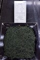 全国手もみ茶品評会2016　2等賞受賞茶2-17