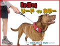 小～大型犬用首輪　RadDog リードインカラー　