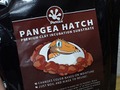 パンゲアハッチ　PANGEA HATCH　16oz