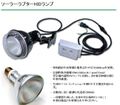 ソーラーラプターHIDランプセット【50w】〔ｾﾞﾝｽｲ〕