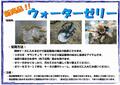 昆虫の保水ゼリー【ウォーターゼリー】