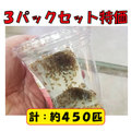 レッドローチ 『３パックセット』