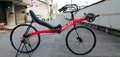 Pelso Brevet Racer