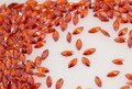 馬の目6x3mm レッド　キュービックジルコニア　