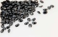 オーバル7x5mm　ブラック　キュービックジルコニア　