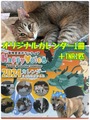 オリジナルカレンダー(1冊)＆TNR