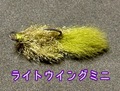 ライトウイングミニ　