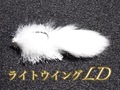 ライトウイングＬＤ 