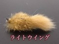 ライトウイング 