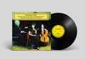 PLATINUM 900 - プラチナム交響曲 第900番「白金」 (LP analog vinyl record アナログレコード)