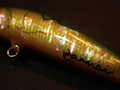 50ストレート シンキング メキシコアワビSP No.2