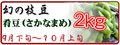 幻の枝豆 肴豆 2kg 9月下旬～10月上旬発送予定【日本海天然塩付♪】