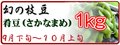 幻の枝豆 肴豆 1㎏ 9月下旬～10月上旬発送予定【日本海天然塩付♪】