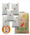5年新潟産コシヒカリ　玄米5㎏×5（25㎏）　【玄米選別済】新米予約