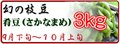 幻の枝豆 肴豆 3㎏ 9月下旬～10月上旬発送予定【日本海天然塩付♪】
