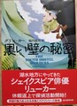 黒い壁の秘密