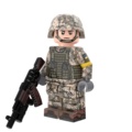 ウクライナ軍　ライフルマン  P/C BrickarmsAK-GL 付き