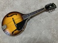 Blue Bell FM-20