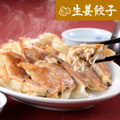 冷凍生姜餃子　20個入り
