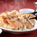  冷凍生餃子 20個入り