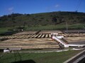 夏のブレンド200ｇ粉