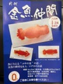 金魚仲間　　　　2023'1/2月合併号