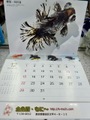 2025' 金魚カレンダー            8,800円お買い上げで無料　詳しくは写真をタップしてね^^/