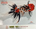 2025' 金魚カレンダー            8,800円お買い上げで無料　詳しくは写真をタップしてね^^/