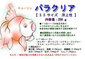 送料込み　　パラクリア SS 浮上性　　　　250gクリックポスト発送用