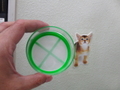 ＳＵＤＯ　メッシュカップ