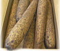長芋　５ｋｇ （大）　中級品