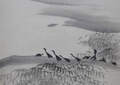 佐々木　泉渓 Sasaki Senkei