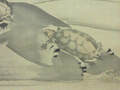 大西　椿年　Ohnishi Chin-nen