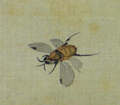 荒木　寛畝 Araki Kanpo