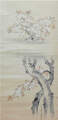 高　嵩谷 Koh Sukoku