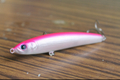 シャラ　ピンクバック