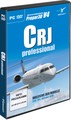 CRJ professional(P3D V4.5+)