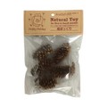 P2 Natural Toy 松ぼっくり 5個入  