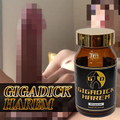 《5個+1個プレゼント》※超限定高級巨根増大プレミアム！　GIGADICK HAREM ギガディックハーレム