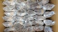 国産冷凍イセエビ５ｋｇ100/130