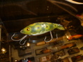 HEDDON TADPOLLY　