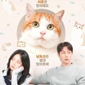 猫も食わない離婚劇～ニャンとしても譲れない！～