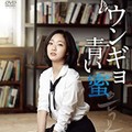 映-ウンギョ青い蜜