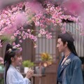 【華流】桃花夫婦（とうかふうふ）～偽装結婚は恋の始まり～