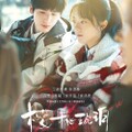 【華流】桜桃琥珀（おうとうこはく）: 私たちの季節﻿