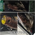 ノリーズ　タフバグ65　2025年5月入荷の新色追加！