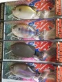 ｲﾏｶﾂ　小南ｷﾞﾙｳﾁﾜ　ｽﾀﾝﾀﾞｰﾄﾞｶﾗｰ