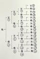 ご先祖様との繋がり　詳細版